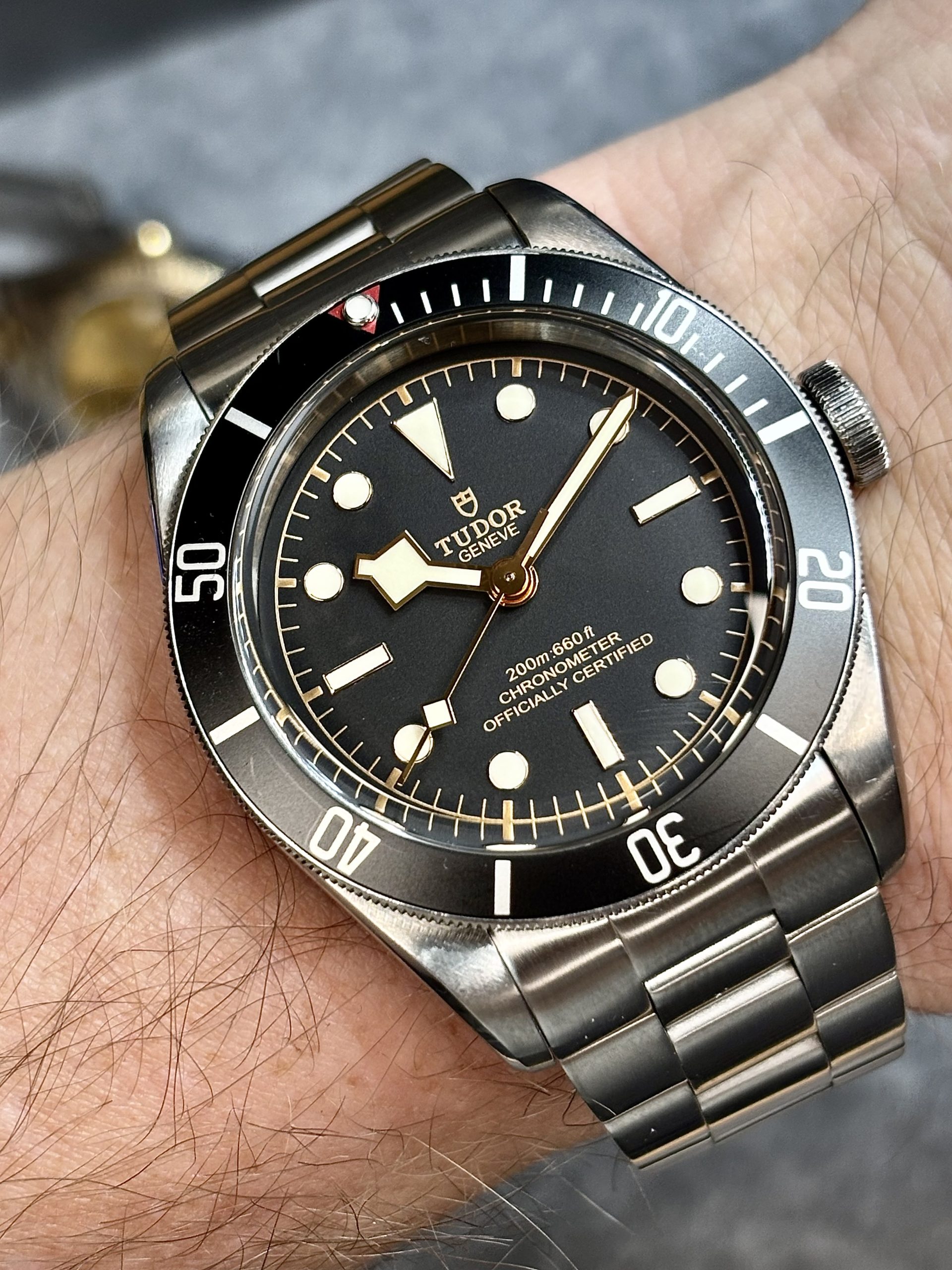 Tudor Black Bay 79230N – 2017 - Bilde 11