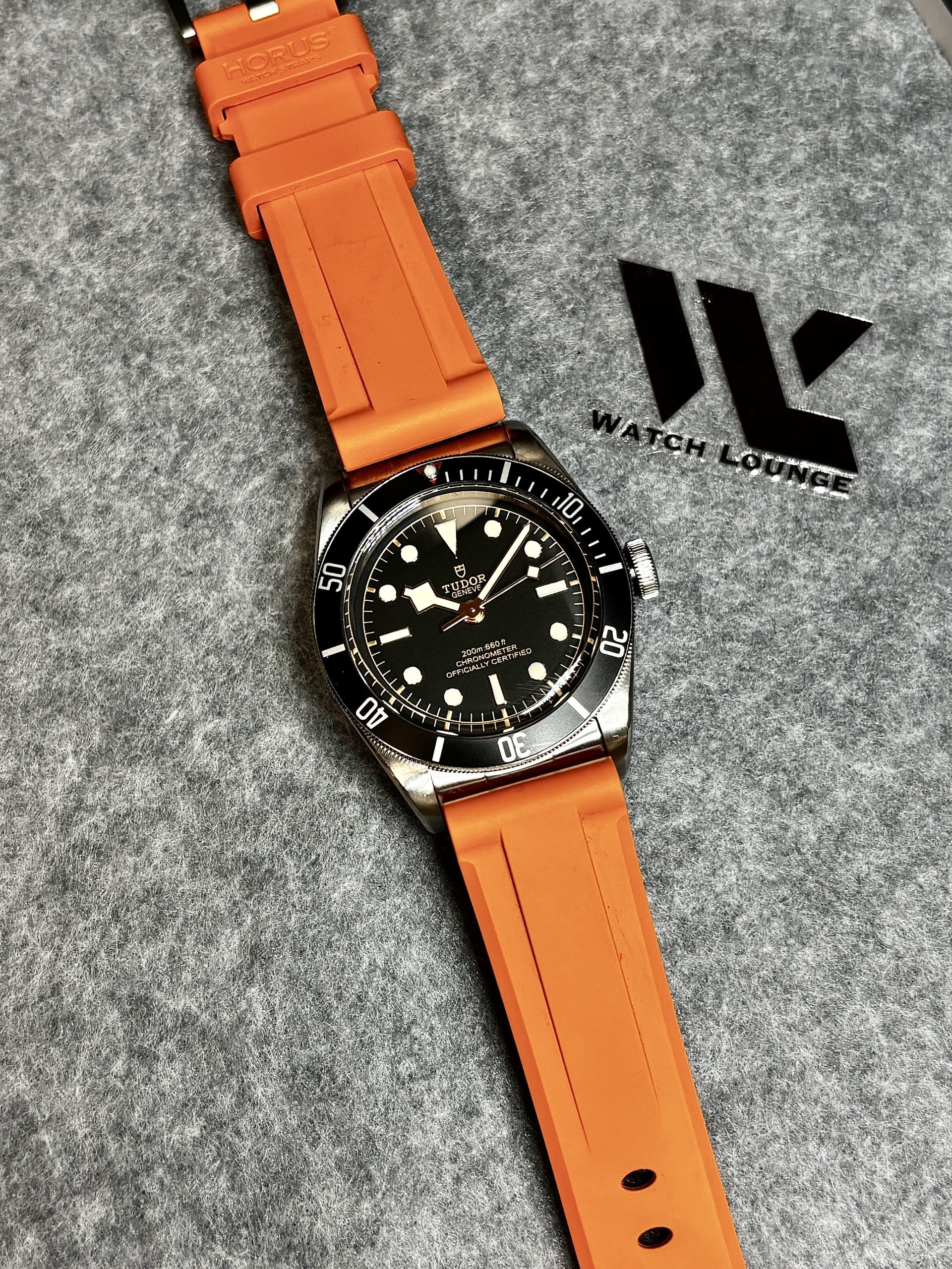 Tudor Black Bay 79230N – 2017 - Bilde 5